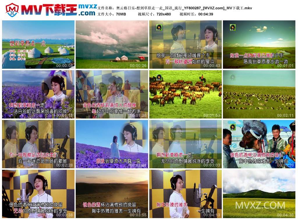 奥云格日乐-想到草原走一走_国语_流行_YF800287